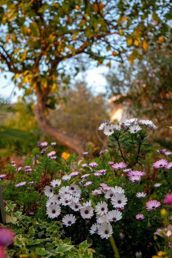 Villa Panoramica Terracina Eksteriør bilde